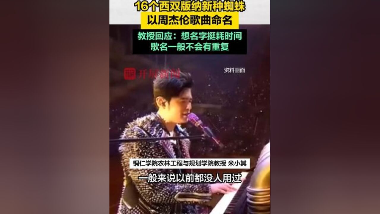 16个西双版纳新种蜘蛛以周杰伦歌曲命名 ,教授回应:想名字挺耗时间