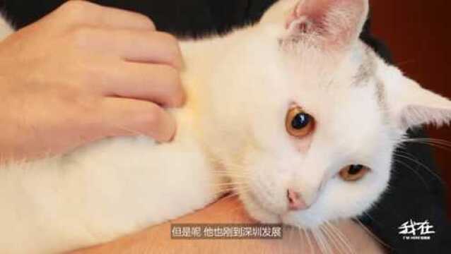 十只猫咪的民宿屋 它的主理人是来自上海的新媒体工作者