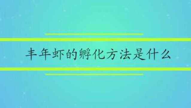 丰年虾的孵化方法是什么