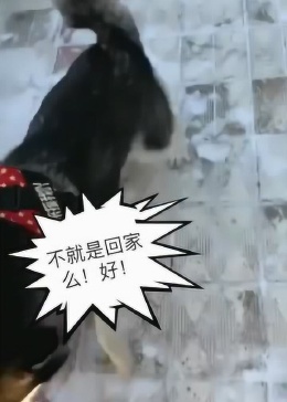 怎么能轻易回家呢,我都多久没出来过了 - 腾讯视频