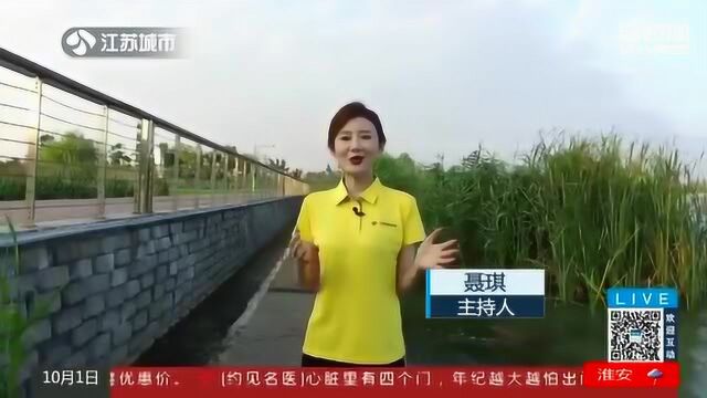 精细之间 看溧水如何绘就“健康中国”的样本