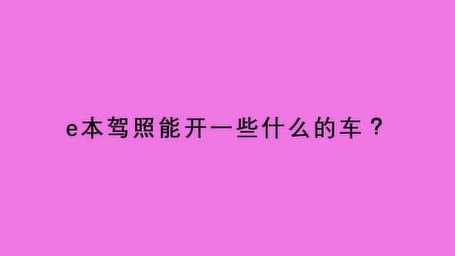 e本驾照能开一些什么的车?