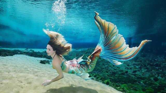 美国最牛水族馆,里面竟养了一条美人鱼,画面美的挪不开眼!