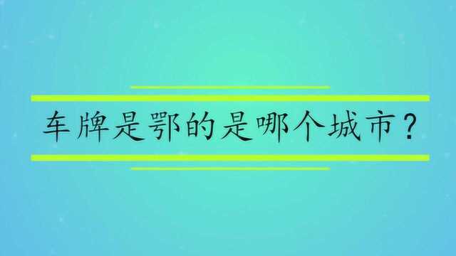 车牌是鄂的是哪个城市?