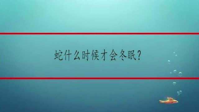 蛇什么时候才会冬眠?