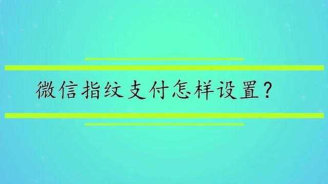 微信指纹支付怎样设置?