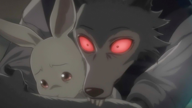 《beastars》原作即将完结！大灰狼和小白兔的爱情要有结果了吗？