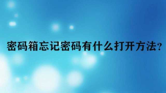 密码箱忘记密码有什么打开方法?