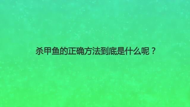 杀甲鱼的正确方法到底是什么呢?