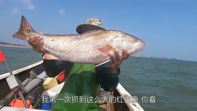 大叔出海第一次捕到这么大个的红古鱼!一斤几十块看这个头起码10斤以上