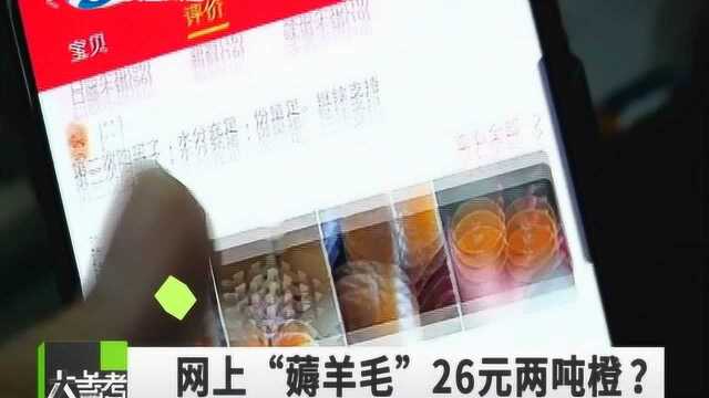 “羊毛党”26元买两吨橙疑薅垮网店,律师这样说