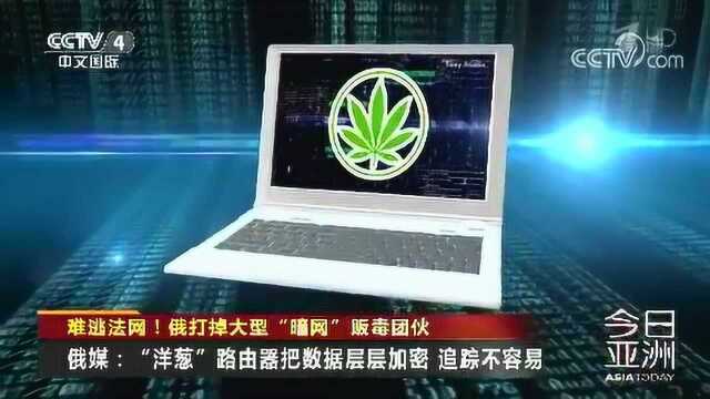 难逃法网!俄打掉大型“暗网”贩毒团伙