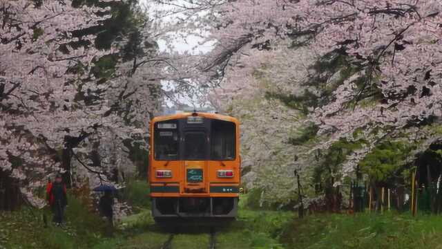 日本人一生必去一次的铁路线,有风景更有故事,网友:实名羡慕!