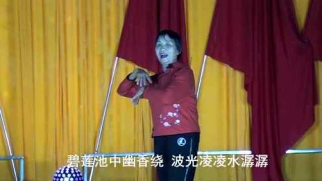 花朝 小曲《星光点点》