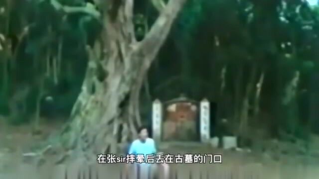 小趴说电影:一部超级搞笑,让你笑破肚皮的电影《霸王花3》