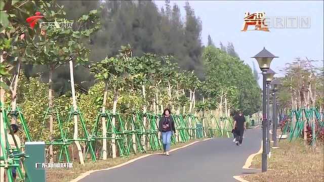 湛江:因地制宜规划引领,打造雷州半岛特色碧道