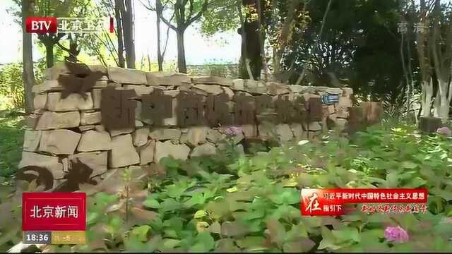 从污染防治到绿色生态文明建设 北京市实现了环境质量的持续改善