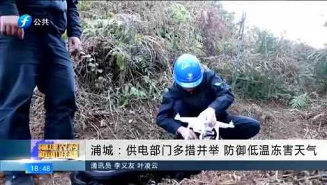 点赞!浦城防御低温冻害天气 供电部门采取多个措施防意外