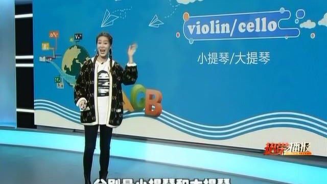 《婷英语》——violin