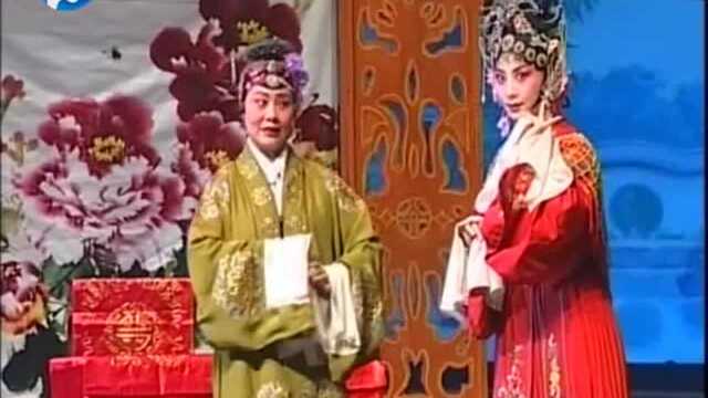 张兰珍饰演的蔡兰英与李明生饰演的徐文秀,演技精湛,带入感强