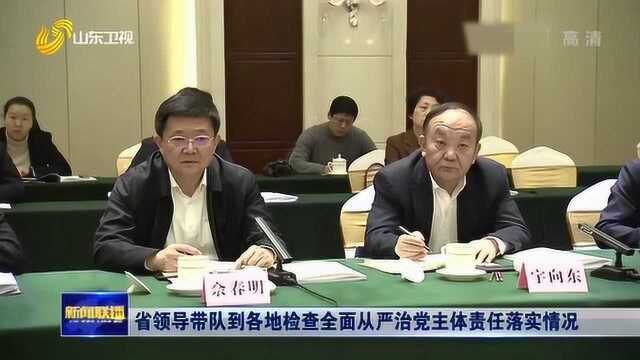 山东:省领导带队到各地检查全面从严治党主体责任落实情况