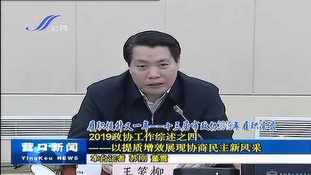 2019政协工作综述之四——以提质增效展现协商民主新风采