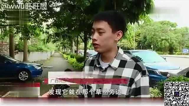 南宁的一名大学生捡到了巨额财物交给警察叔叔处理