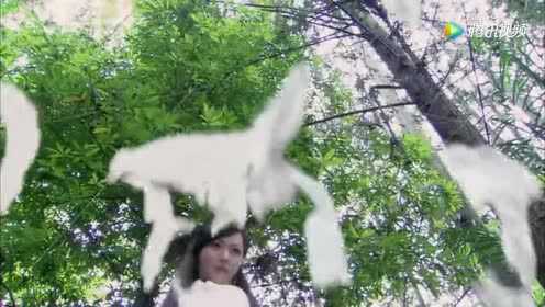 Thumbplayer Poster Plugin Image