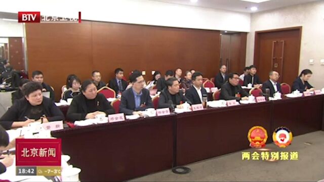 李伟参加市十五届人大三次会议朝阳团审议