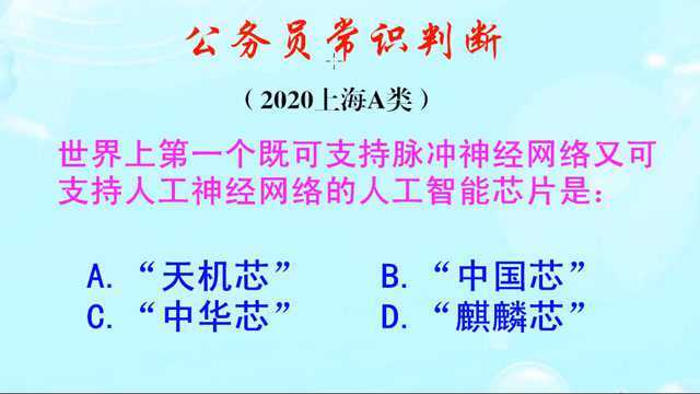 世界上第一个既支持脉冲神经网络,又支持人工神经网络的芯片是啥