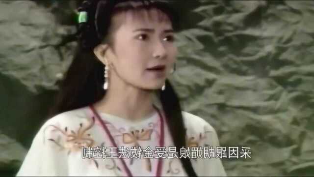 仕林给媚娘送草药,媚娘对仕林倾诉