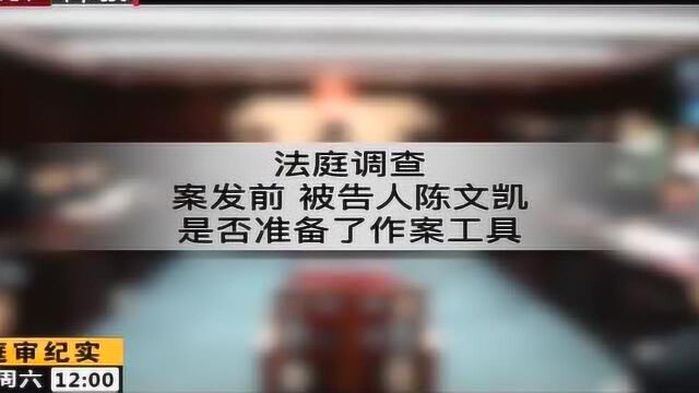 法庭调查 案发前 被告人是否准备了作案工具