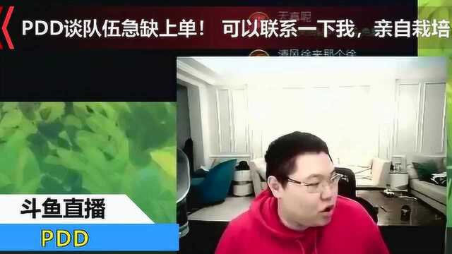 PDD谈队伍急缺上单! 可以联系一下我,亲自栽培