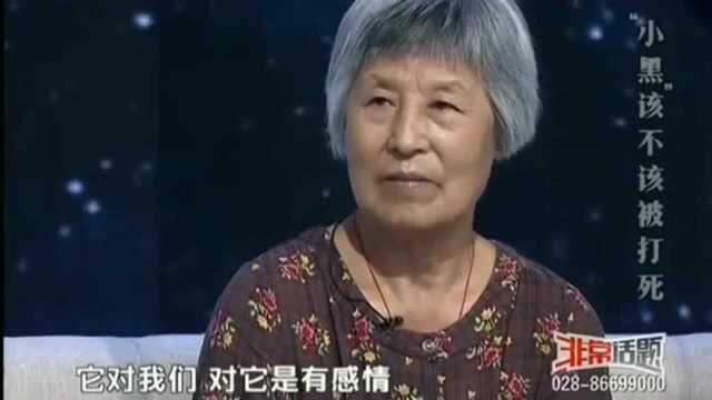 流浪狗存在很大风险,要预防万一性出现,爱狗人士要负起责任