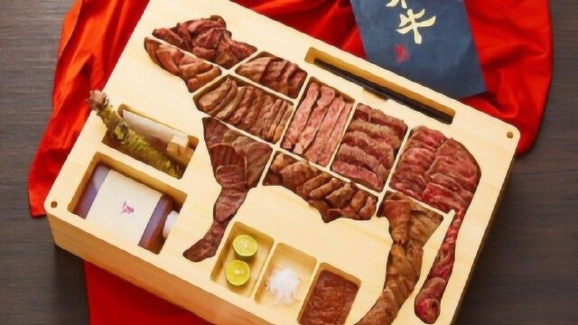 日本这种“天价”盒饭,一盒售价28万日元,网友:我一年的伙食费