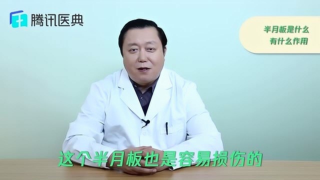 半月板是什么,有什么作用?医生:这类人容易出现半月板损伤,运动前要注意