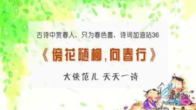 《傍花随柳,向春行》古诗中赏春人,只为春色喜,诗词加油站36