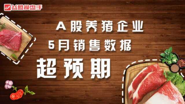 A股养猪企业5月销售收入超预期,最高增长318%!