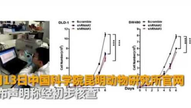 小学生研究结直肠癌获奖 中科院:其系研究员之子