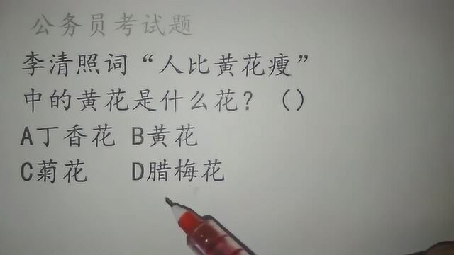 公务员考试常识题,李清照词“人比黄花瘦”中的黄花是什么花?