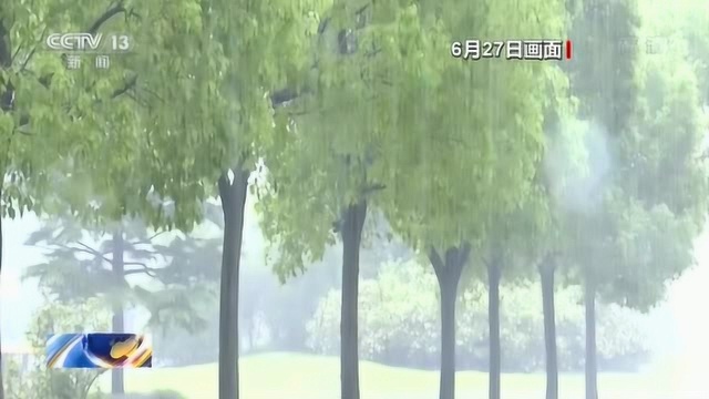 江苏启东:雷暴暴雨双预警 最大雨量超69