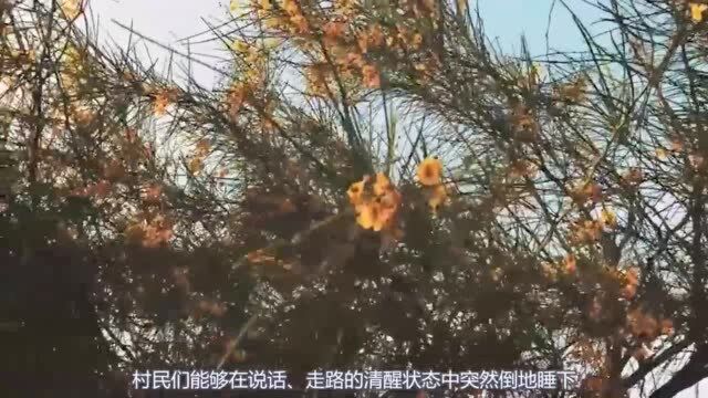 世界上神奇的“沉睡村”,村民经常性莫名其妙的沉睡,一睡可睡一周