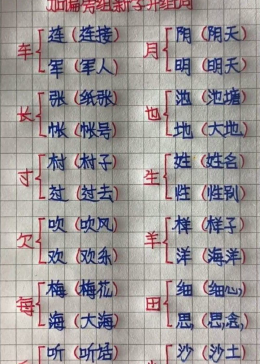 加偏旁组新字并组词，小学必考建议收藏 - 腾讯视频