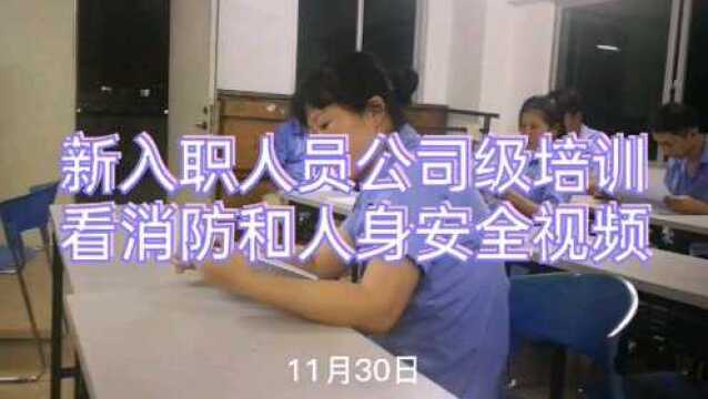 入职第13天被通知参加公司级培训,看看学习了啥?