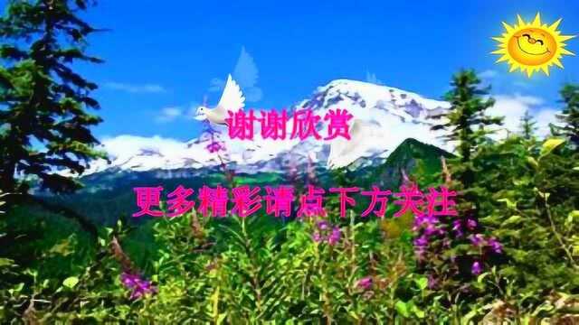 很好听的鸟叫声,丝光椋鸟叫声,还有知了叫声