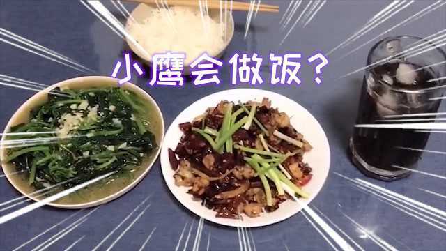 小鹰Vlog:小鹰首次视频露脸,猜猜他给小伙伴们带来了什么?