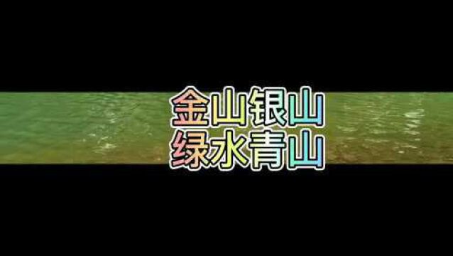 公益诉讼,绿水青山