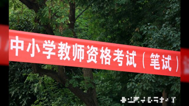 教师资格认定出现新变化,这2类学生将受优待,网友:早该如此了