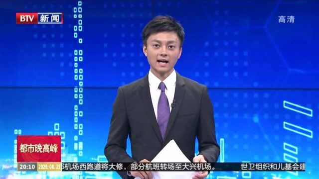 首届“大兴网友节”:礼赞发展成就,乐享大兴网事