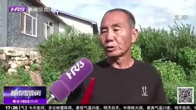 宾县推进脱贫攻坚 大力发展产业扶贫 5个贫困村全部“摘帽”出列